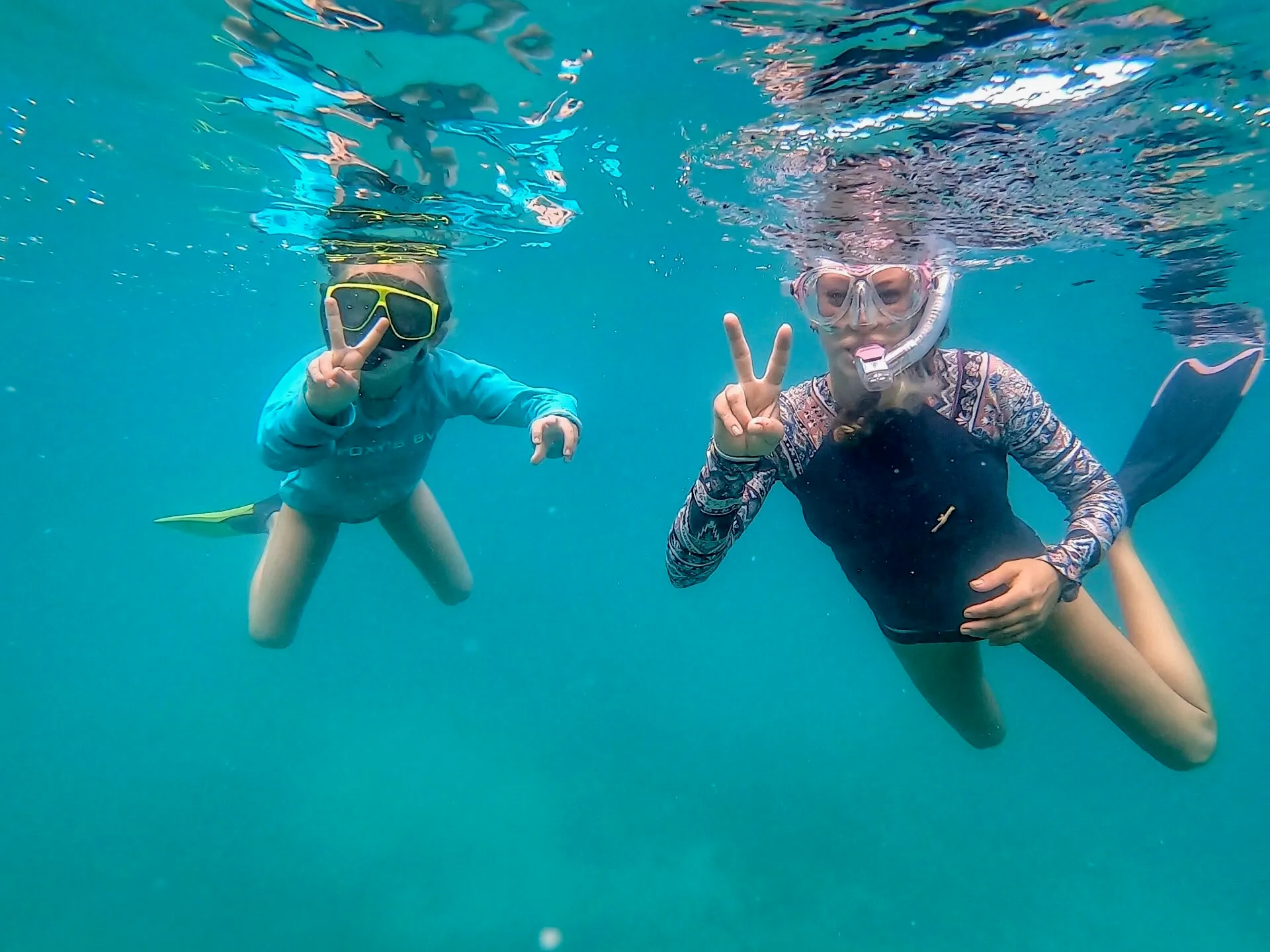 a group of people swimming in a pool of water